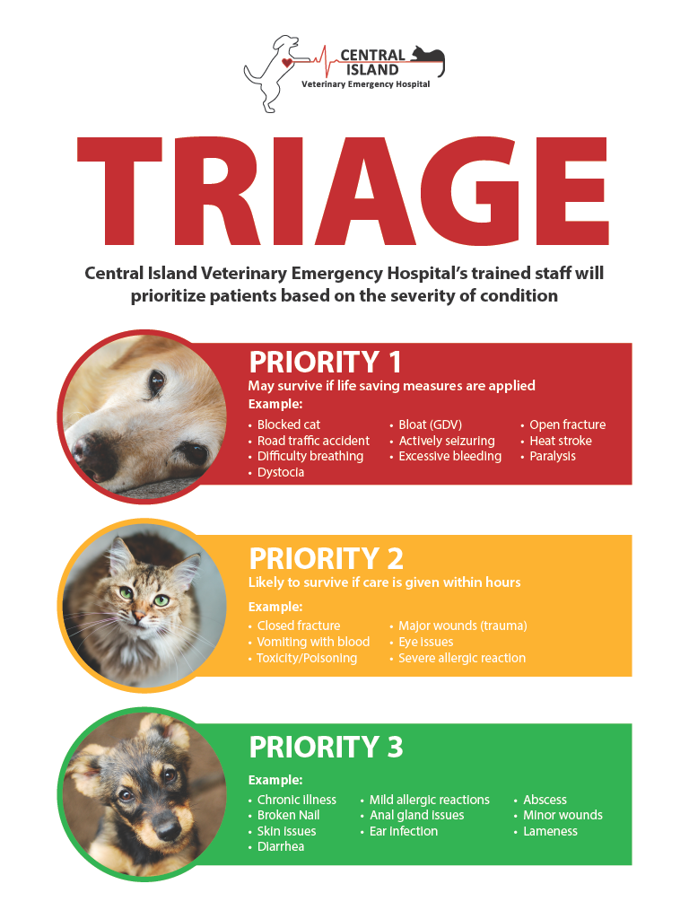 triage-poster-showing-priority-conditions